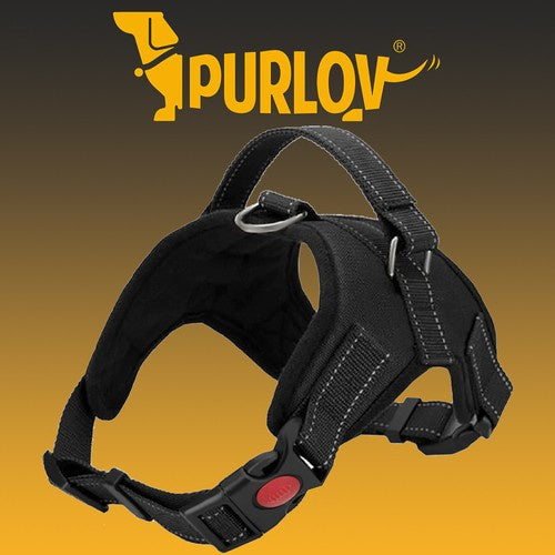 Antistresni Pojas za Pse M, Reflektirajući, Prilagodljiv, Do 30kg