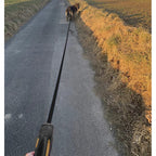 Automatska Povodac za Pse 8 m do 50 kg, Crno-Žuta