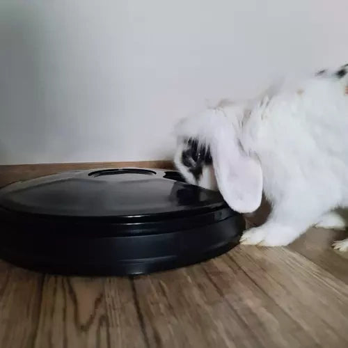 Automatski Dispenzer Hrane za Kućne Ljubimce 30x30x6 cm Crni