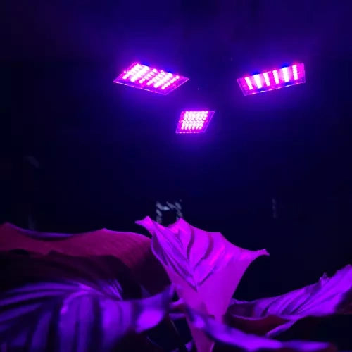 LED Lampa za Rast Biljaka 108 LED, 23 x 9.5 cm, Crveno-Plava, E27