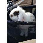 Auto Nosiljka za Pse, Mačke i Kuniće 40x40x32 cm Vodootporna