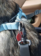 Auto Nosiljka za Pse, Mačke i Kuniće 40x40x32 cm Vodootporna