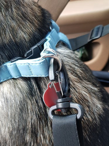 Auto Nosiljka za Pse, Mačke i Kuniće 40x40x32 cm Vodootporna