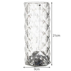 Lampa s Projektorom Ruže, 9 x 21 cm, Prozirna, LED, 16 Boja