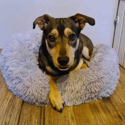 Debeli Okrugli Krevet za Pse i Mačke M, Sivi, 60 x 15 cm