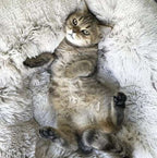 Debeli Okrugli Krevet za Pse i Mačke M, Sivi, 60 x 15 cm