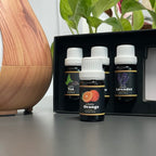 Set Mirisnih Ulja za Difuzor i Ovlaživač, 6 x 10 ml