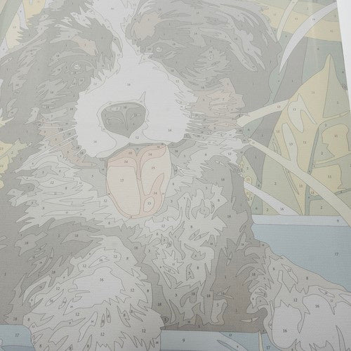 Slikanje Po Brojevima 40x30 cm – Pas, Platno na Drvenom Ramu