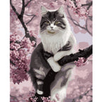 Slikanje po Brojevima Mačka 40x50 cm na Platnu s Okvirom