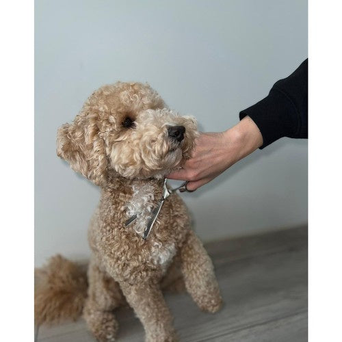 Set Škara za Njegu Pasa u Etuiu 9 x 3 x 21.3 cm