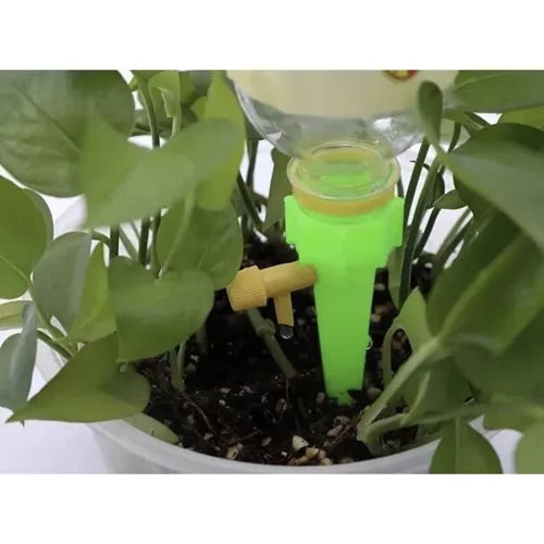 Automatski Zaljevač za Cvijeće 13.5 x 6 cm Zelene Boje