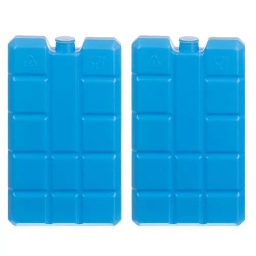 Termo Torba 20L Siva s Dva Umetka za Hlađenje 37 x 24 x 24.5 cm