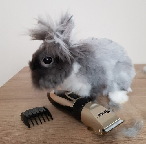 Set za Šišanje Pasa s Priborom, USB Punjenje, 4,5 x 17 x 3,5 cm