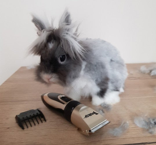 Set za Šišanje Pasa s Priborom, USB Punjenje, 4,5 x 17 x 3,5 cm