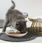 Protuklizna Vodootporna Podloga za Dvije Posude za Pse i Mačke 45 x 26 cm Siva