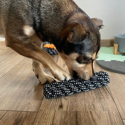 Set Igračaka za Pse, 10 Komada, Crno-Bijelo-Žuti