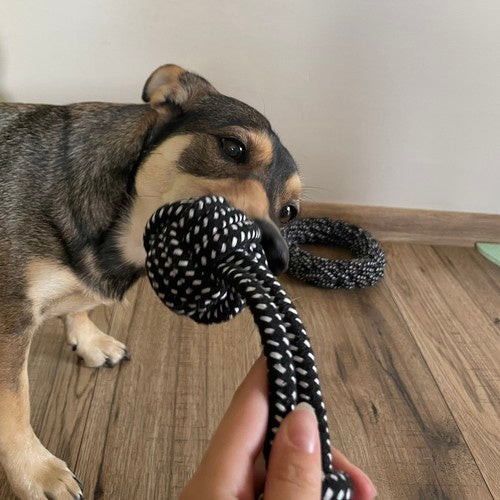 Set Igračaka za Pse, 10 Komada, Crno-Bijelo-Žuti