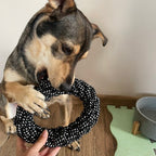 Set Igračaka za Pse, 10 Komada, Crno-Bijelo-Žuti