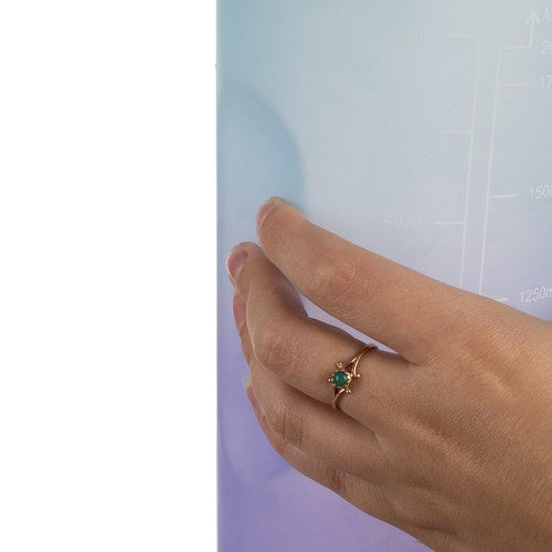 Motivacijska Boca za Vodu 2L, Ljubičasto-Plava, 30 x 10 cm