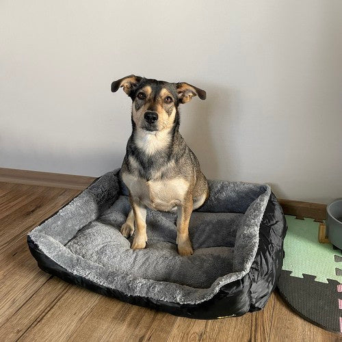 Krevet Za Pse i Mačke 60x45 cm, Sivo-Crni