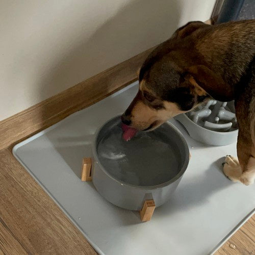 Silikonska Podloga za Posude 60 x 45 cm Siva