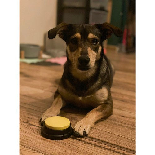 Gumbi Za Snimanje Zvuka Za Pse, 8.8 x 4 cm, Set 4 Komada