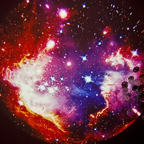 LED Projektor Zvijezda s Noćnim Svjetlom, 11 x 11 cm, Bijelo-Crni