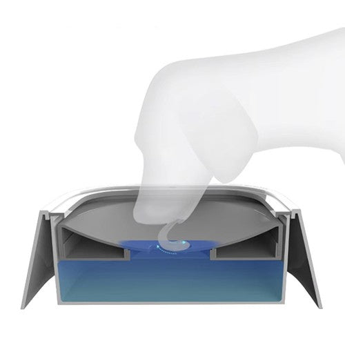 Set Posuda za Vodu za Pse i Mačke 1.5l s Protiv-Polijevanja + Sklopiva Putna Posuda 350 ml