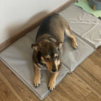 Hladilna Prostirka za Životinje 90x50 cm Siva