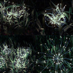 Solarna Vrtna Lampa Maslačak LED Set od 2, Vodootporna, Hladno Bijelo Svjetlo