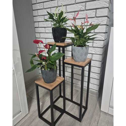 Metalni Stalak za Cvijeće s 3 Nivoa 67 cm