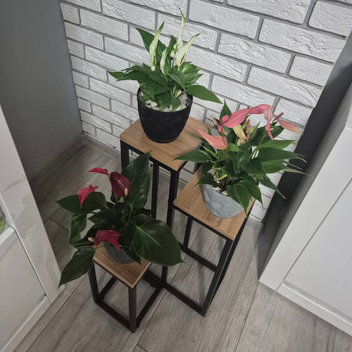 Metalni Stalak za Cvijeće s 3 Nivoa 67 cm