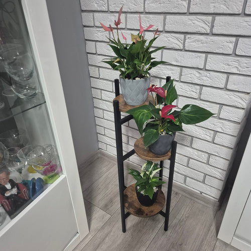 Metalni Stalak za Cvijeće s 3 Nivoa 81x27x27 cm Crno-smeđi