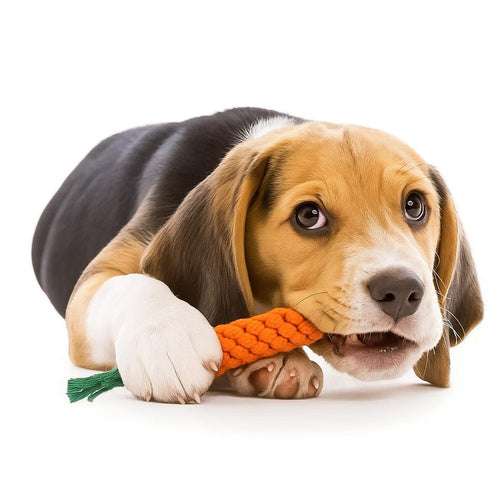 Set Igračaka za Pse 16u1 s Konopcem i Gumenim Igračkama, Višebojni