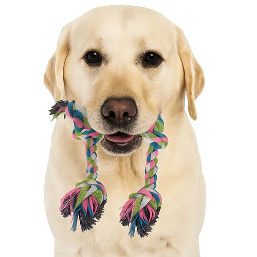 Set Igračaka za Pse 16u1 s Konopcem i Gumenim Igračkama, Višebojni