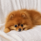 Dvostrana Dekica 150x200 cm Svjetlosiva