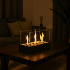 Samostojeći Bio Kamin 45x29x20.5 cm Crni s Staklenim Zidovima