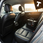 Ozonator za Zrak s 4 Keramičke Ploče, 150W, Crni, 13.5 x 20.5 x 14 cm