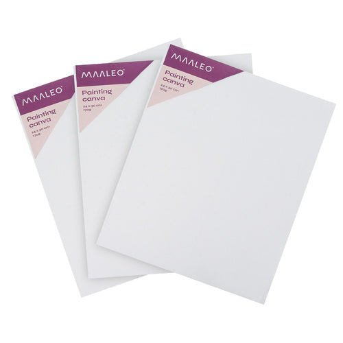 Kreativni Set za Slikanje 26 Dijelova s Platnima 30x40 cm i Akrilnim Bojama