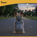 Podesivi Antistres Oprsnjak za Pse i Mačke S s Povodcem 150 cm