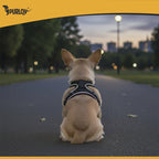 Bezpritisna Oprsnica za Pse i Mačke XS s Povodcem 150 cm