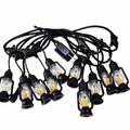 LED Svjetlosna Girlanda 5m - 10 Lampiona