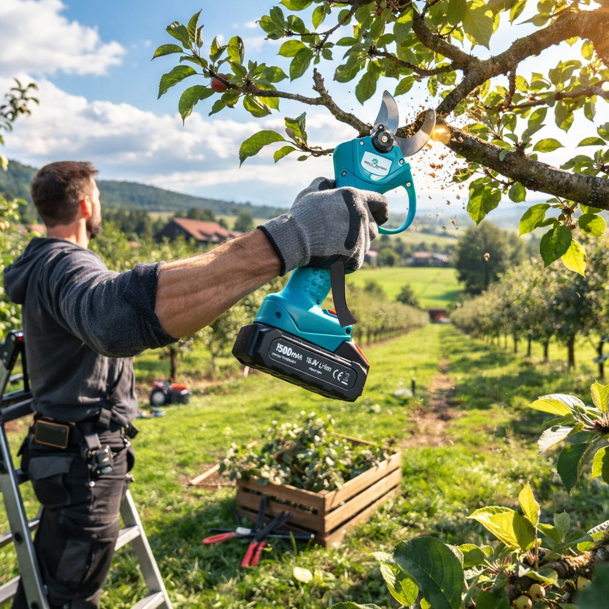 Teleskopski Set 3u1 Akumulatorska Pila i Škare s Produžetkom