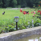 Solarne LED Vrtne Lampe 46.5cm - Set od 10