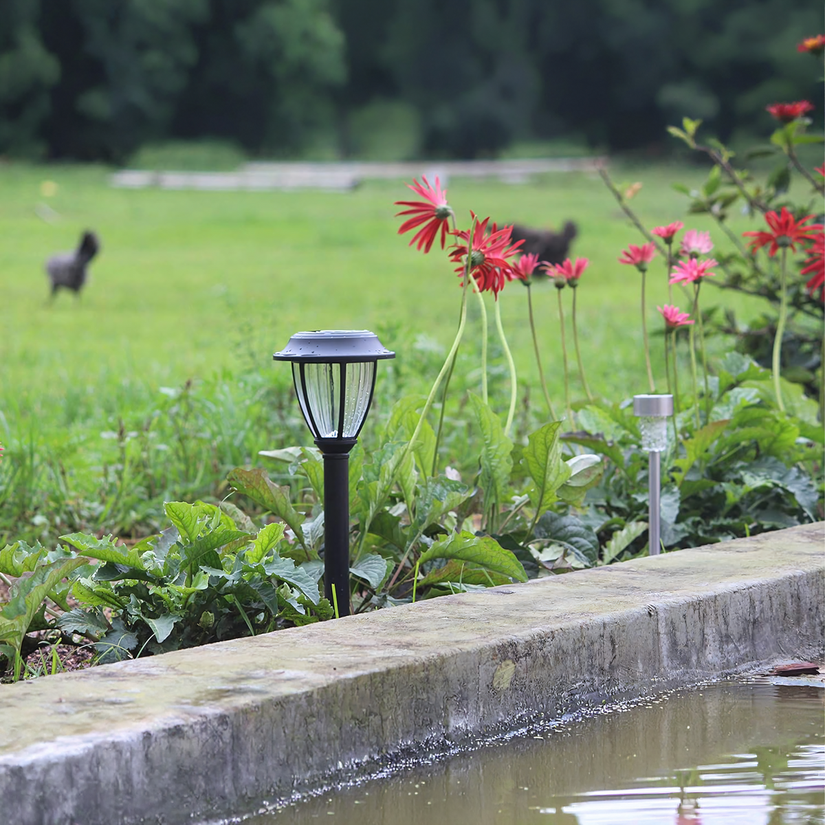 Solarne LED Vrtne Lampe 46.5cm - Set od 10